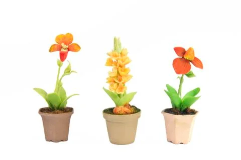 Various flower in flowerpot Stock Photos