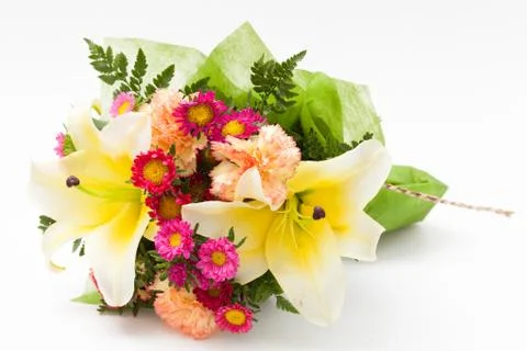 Various flower Stock Photos