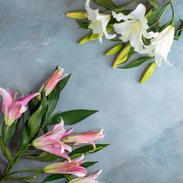 Various flowers are on the table Stock Photos