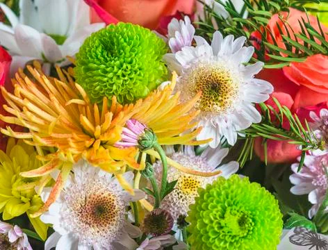Various flowers background. Close up Stock Photos