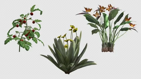 Various flowers sway in the wind on a transparent background Stock Footage 332722760