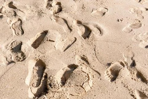 Various footprints mark a sandy beach Stock Photos