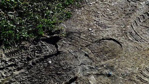 Various footprints on mud seen from above Stock Footage 117865962