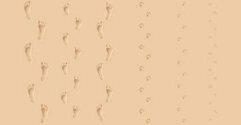 Various Footprints on a Sandy Background Stock Illustration