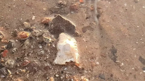 Various forms of banks and water ripples on the banks of rivers Видео 337551703