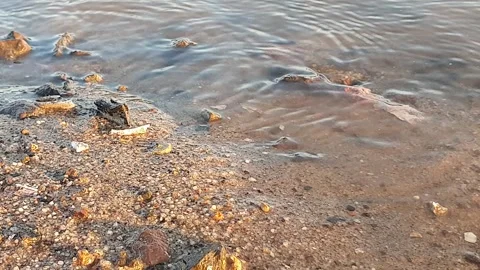 Various forms of banks and water ripples on the banks of rivers Stockbeeldmateriaal 337552963
