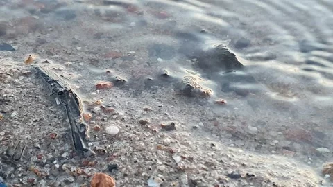 Various forms of banks and water ripples on the banks of rivers Видео 337553652