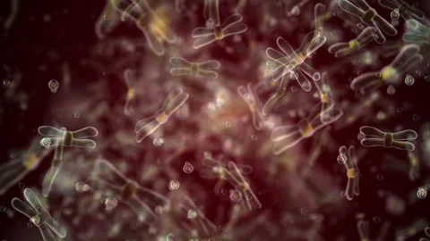 Various forms of life in a drop of water. simulation of protozoa by an organi 库存影片 188758301