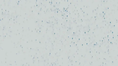 Various forms of life in a drop of water. the simulation of the protozoan org Stock Footage 188761063