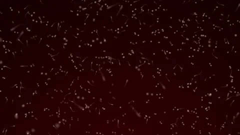 Various forms of life in a drop of water. the simulation of the protozoan org Stock-Footage 188761599