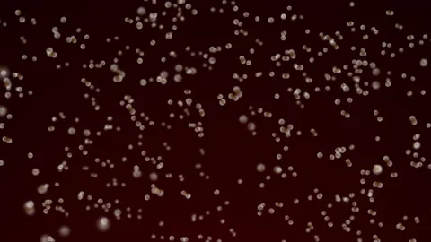 Various forms of life in a drop of water. the simulation of the protozoan org Stock-Footage 188762884