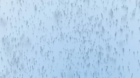 Various forms of life in a drop of water. the simulation of the protozoan org Stock-Footage 188763950