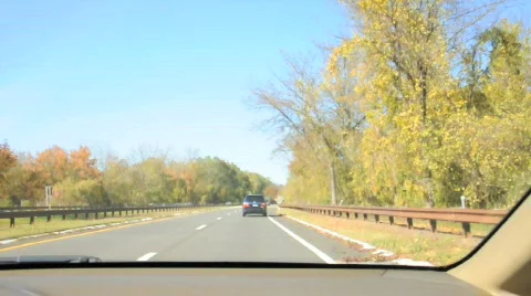 Various forms of nature and animals Stock Footage 695380