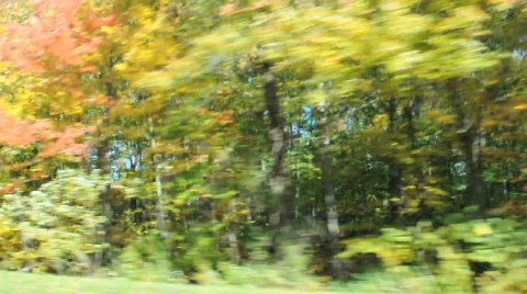 Various forms of nature and animals Stock Footage 695382