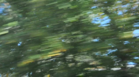 Various forms of nature and animals Stock Footage 695384