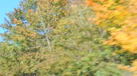 Various forms of nature and animals Stock Footage 695387
