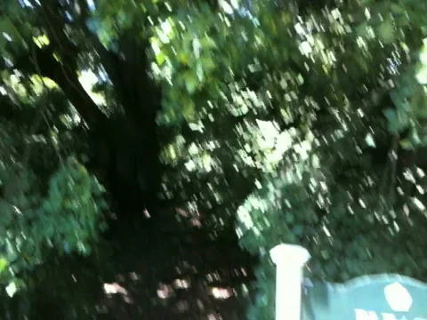 Various forms of nature and animals Stock Footage 695733