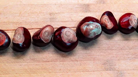 Various fresh chestnuts arranged on surface. 動画素材 217979096