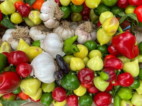 Various fresh mediterranean vegetables texture Stock Photos