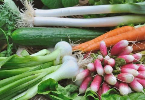 Various fresh vegetables Stock Photos