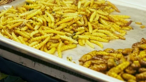 Various fried edible bugs and insects including grasshoppers and larvae Video stock 278036680