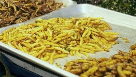 Various fried edible bugs and insects including grasshoppers and larvae Stock Footage 278478775