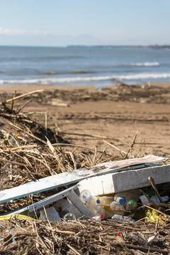 Various garbage on beach: plastic bottles, paper, broken branches and others  Foto stock