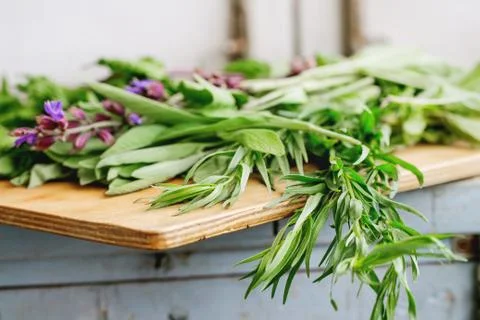 Various of garden herbs Stock Photos