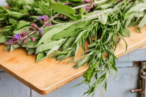 Various of garden herbs Stock Photos