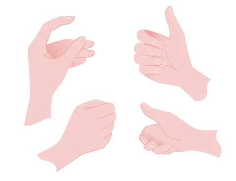 Various gestures of human hands hold template flat vector illustration isolated Stock Illustration