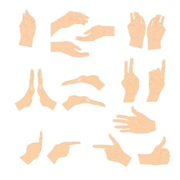 Various gestures of human hands isolated on a white background. Vector flat Stock Illustration