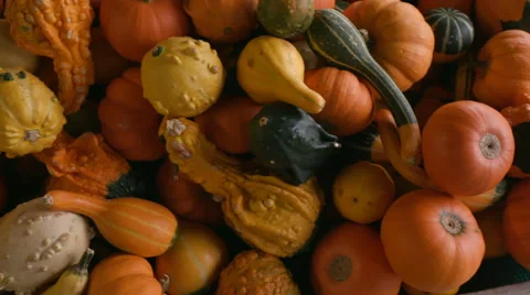 Various Gourds from Above in a Crate Stock Footage 68774505