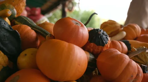 Various Gourds from Side at Market Stock Footage 68774490