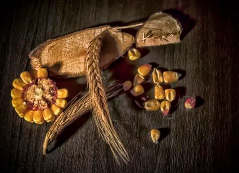 Various Grain Stock Photos