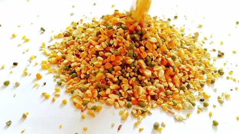Various grains poured into a white base Stock Footage 287271893