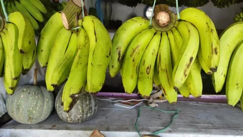 Various half-ripe bananas are displayed in the stalls for sale Stock Footage 237679996