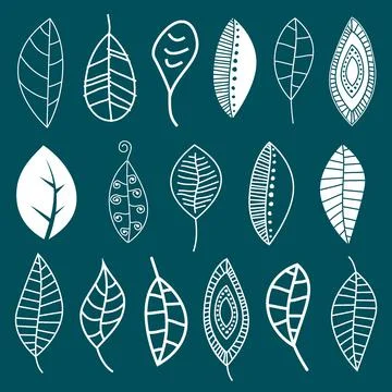 Various Hand Drawn Leaves Stock Illustration