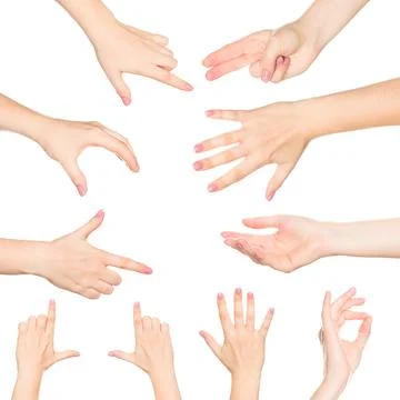 Various hand gestures displayed against a white background in a creative Stock Photos