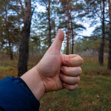 Various hand gestures. Hands demonstrate various gestures in a calm, outdoo.. Photos