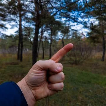 Various hand gestures. Hands demonstrate various gestures in a calm, outdoo.. Stock Photos