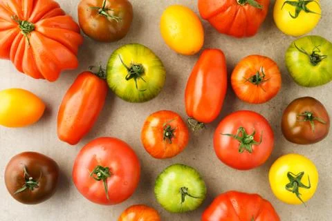 Various heirloom tomatoes Stock Photos