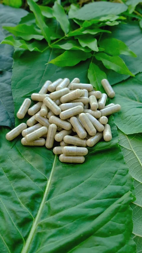 Various herbal supplement capsules. Selective focus. Stock Footage 318746096