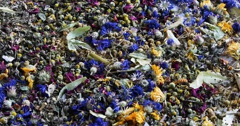 Various herbal tea Stock Footage 120966966