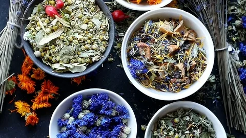 Various herbal tea. Top view.  Stock Footage 95173978