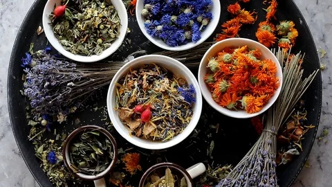 Various herbal tea. Top view.  Stock Footage 95173992