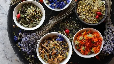 Various herbal tea. Top view.  Stock Footage 95173996