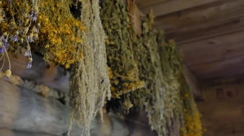 Various herbs hanging on a leash Stock Footage 54619228