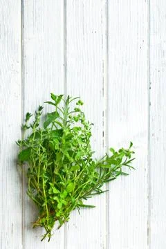 Various herbs Stock Photos