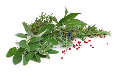 Various herbs Stock-Fotos