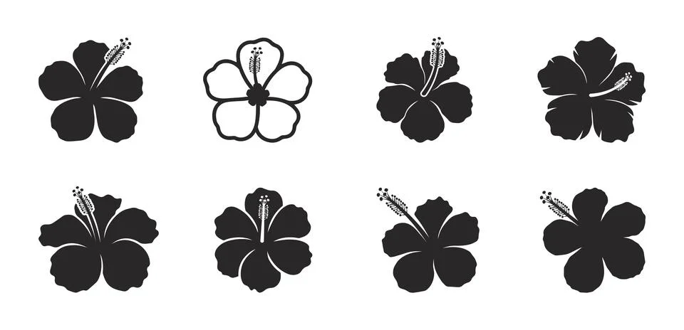 Various Hibiscus Bloom Silhouette Vector Graphic Set Stock Illustration